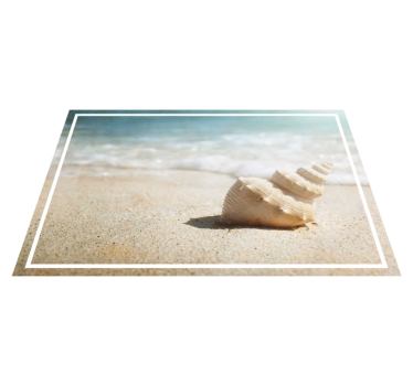 Tischsets originell elegantes muscheldisplay - TenStickers