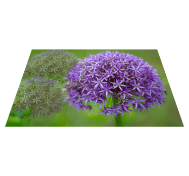 Tischset textur mit lebhaften lila blumen - TenStickers