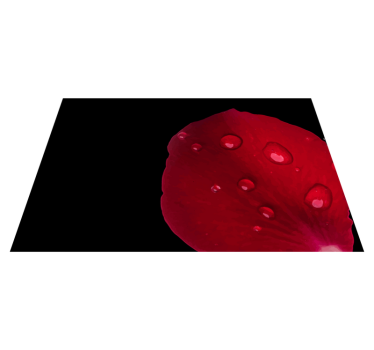 Tischset textur rote blütenblatt-oberfläche - TenStickers