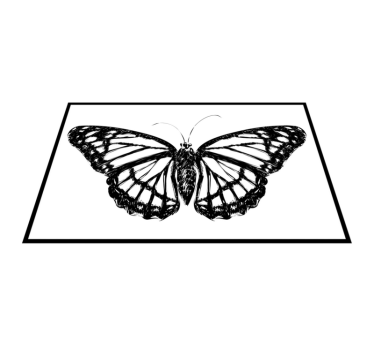Tischsets originell mit eleganter schmetterlingsillustration - TenStickers