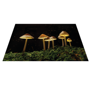 Tischsets originell pilze in der nacht - TenStickers