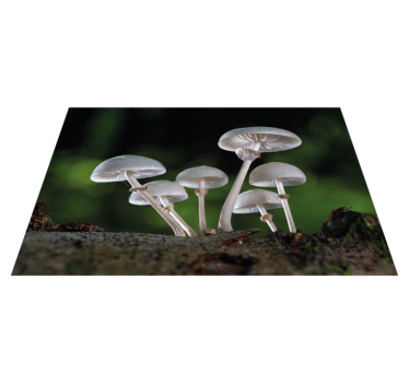 Tischsets originell mit vintage holzbesteck - TenStickers