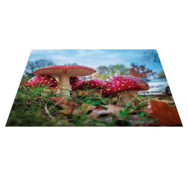 Platzset modern Roter fliegenpilz - TenStickers