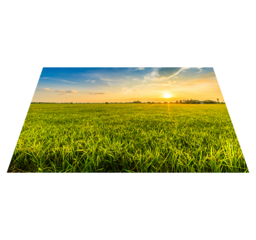 Tischset mit namen sonnenuntergang reisfeld - TenStickers