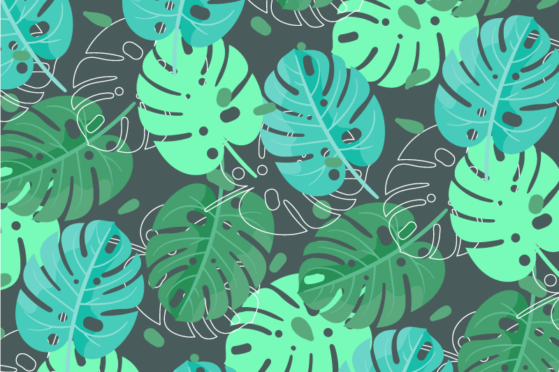 Tischsets originell Monstera deliciosa - TenStickers