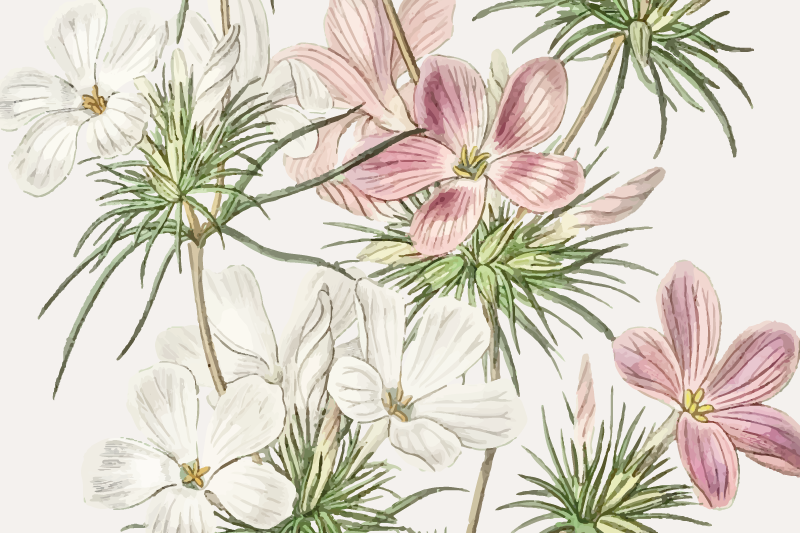 Tischset elegant Subtile orchideen - TenStickers