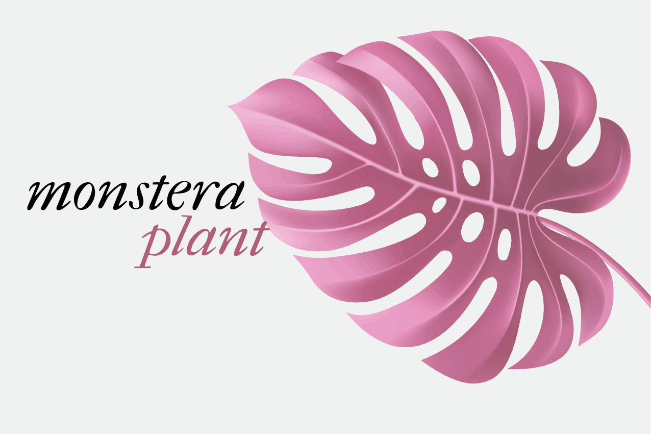 Tischsets originell mit monstera blatt motiv - TenStickers