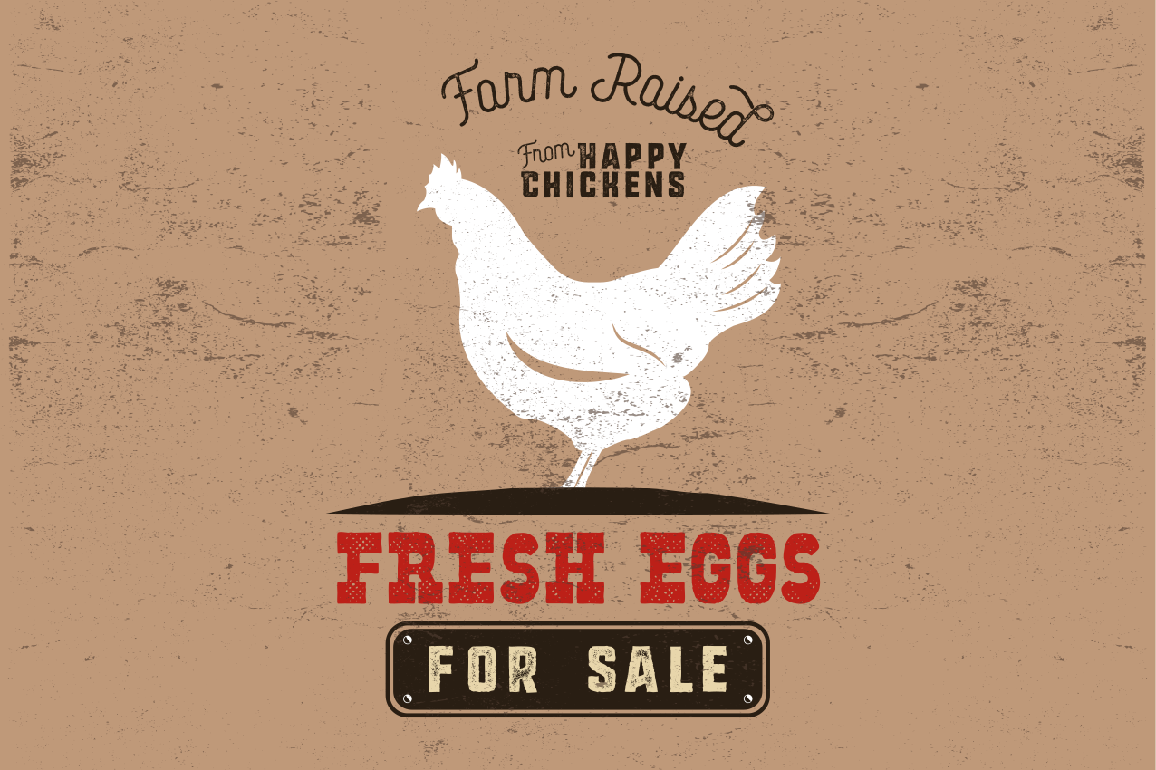 Tischsets originell frisch vom bauernhof huhn - TenStickers