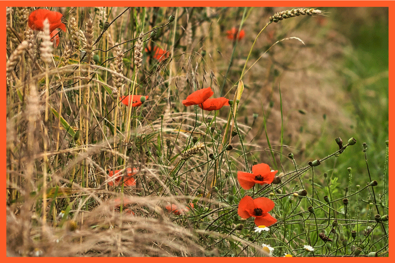 Tischset kinder lustige essensgestaltung - TenStickers
