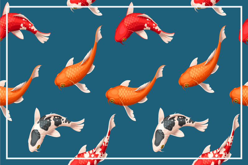Tischsets originell mit buntem koi fisch muster - TenStickers