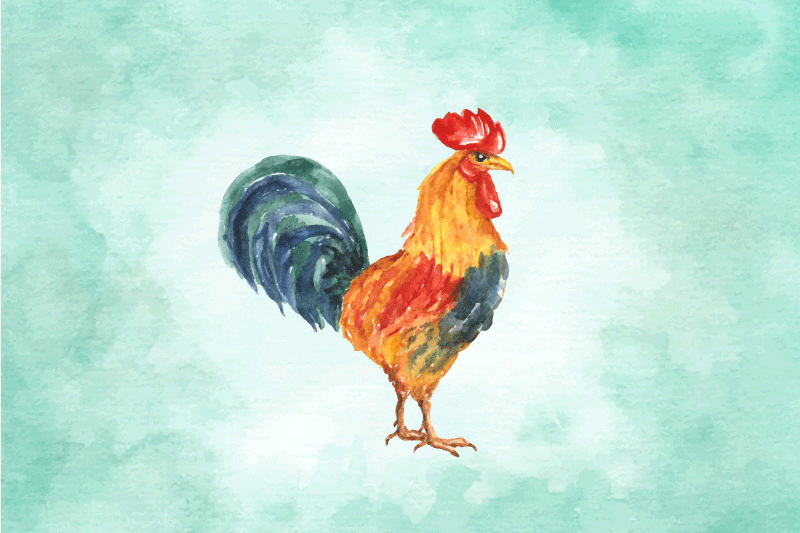 Tischsets originell mit bunter hühnerillustration - TenStickers