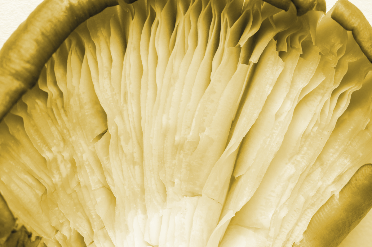 Tischset textur mit geschwungenen blätterschichten - TenStickers