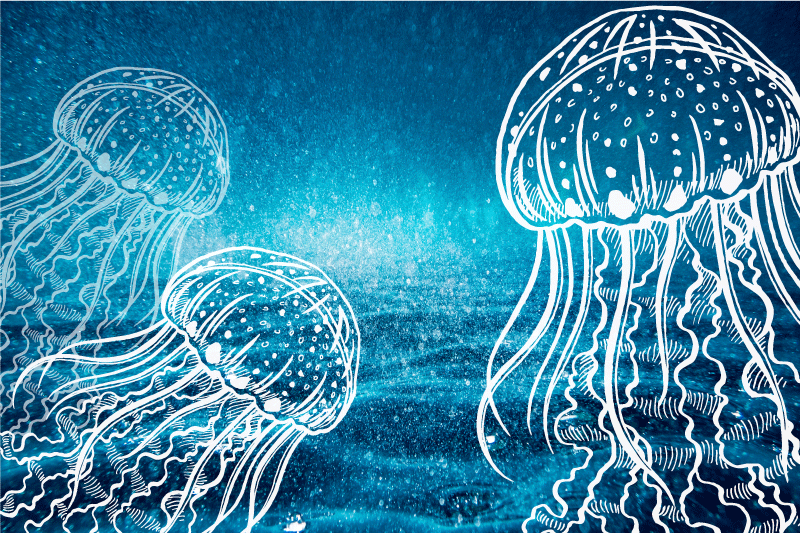 Tischsets originell medusen-ozeanszene - TenStickers