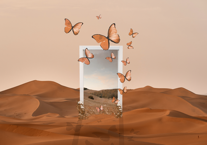 Tischsets originell schmetterlinge im rahmen - TenStickers