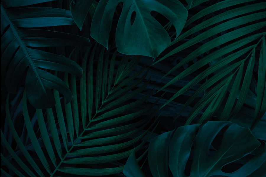 Tischset textur mit tropischem blattdesign - TenStickers