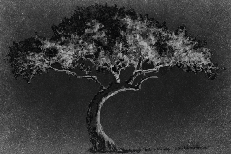 Tischset textur baum-silhouette kunst - TenStickers