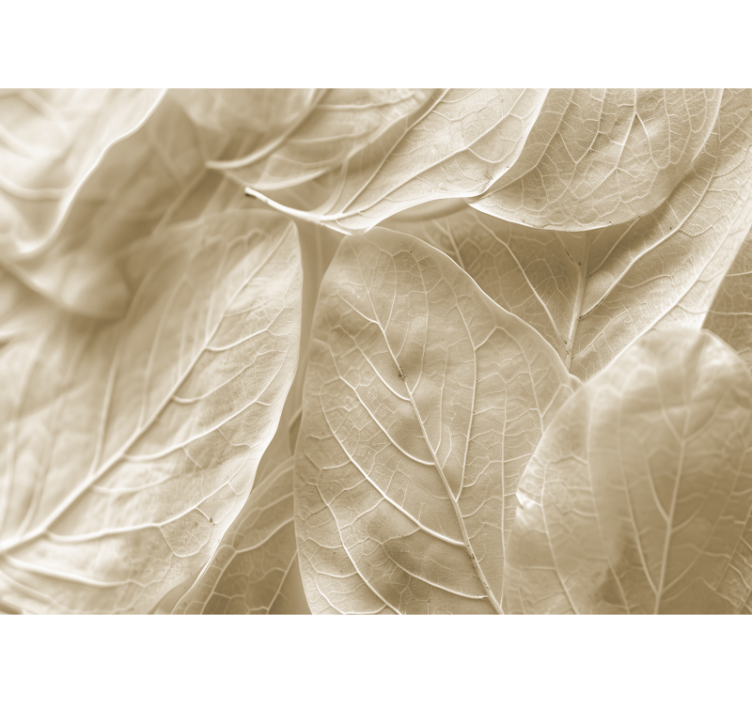 Fototapete Hochzeit große beige blätter - TenStickers