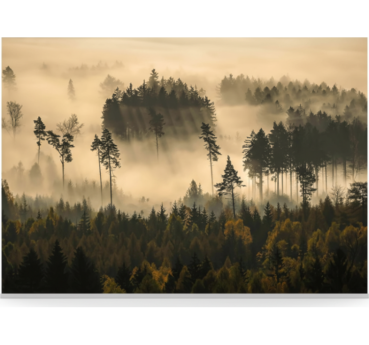 Fototapete wald mit ätherischem morgennebel - TenStickers