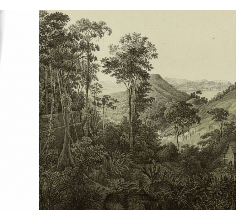 Fototapete wald hügellandschaft druck - TenStickers