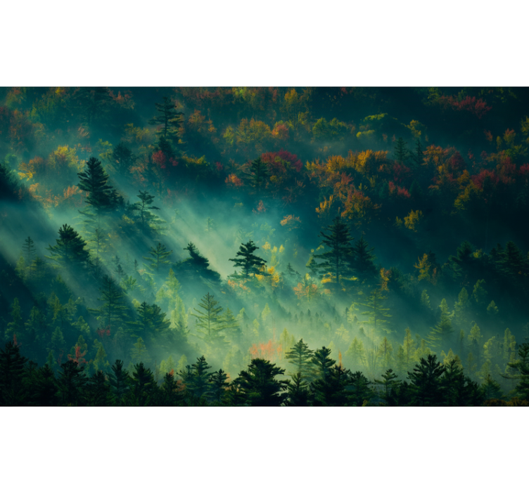 Fototapete wald der geheimnisvolle wald - TenStickers