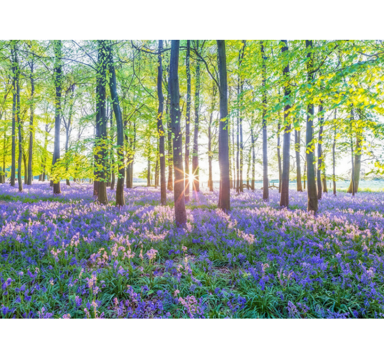 Fototapete wald im modernen naturstil - TenStickers