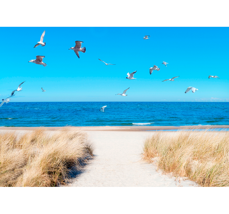 Strand Möwen Wandtapete - TenStickers