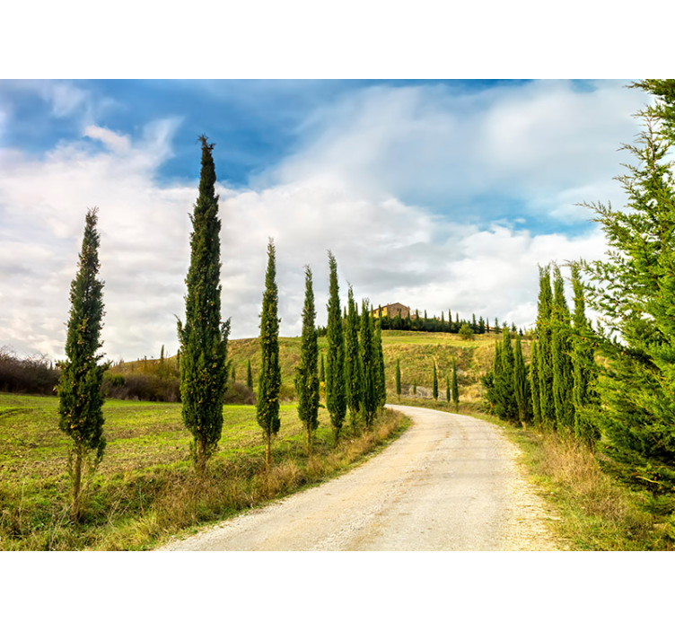 Fototapete Natur Fotomural paesaggio colline Toscane - TenStickers