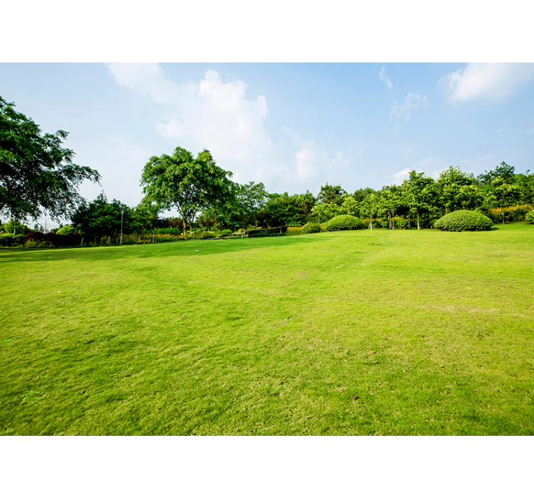 Grüne wiese natur Fototapete - TenStickers