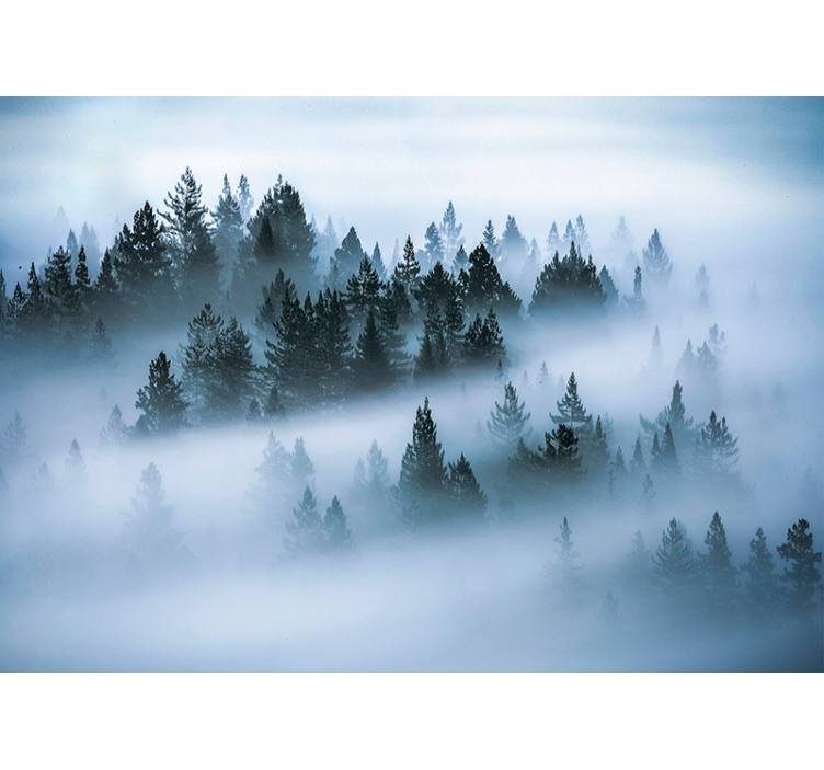 Morgennebel Wald Wandtapete - TenStickers