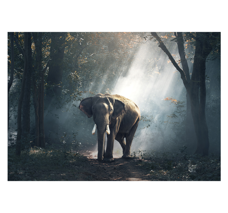 Elefant im Wald Tier Fototapete - TenStickers