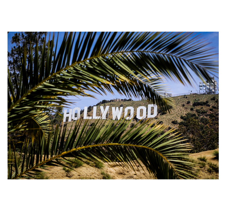 Hollywood Zeichen und Palme Fototapete - TenStickers