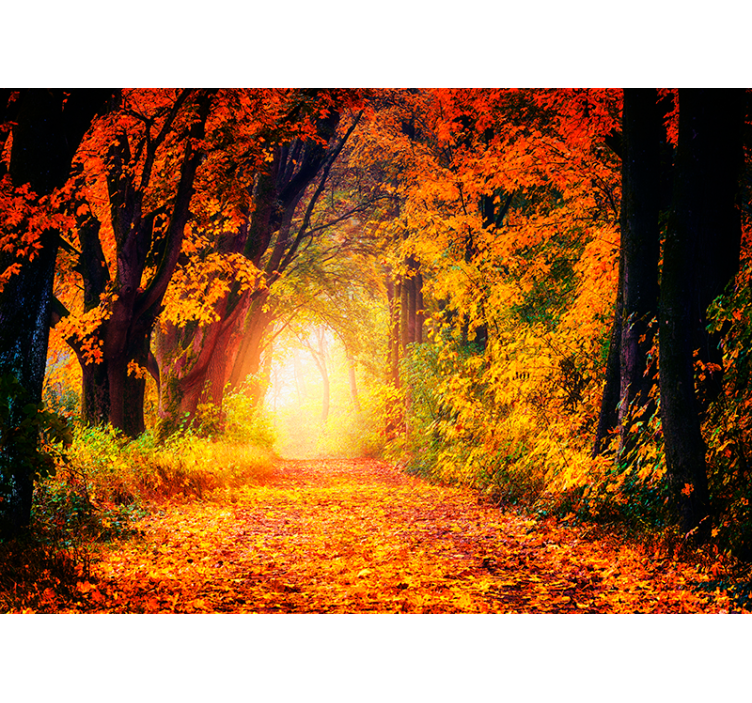 Herbstlicher Weg Natur Fototapete - TenStickers