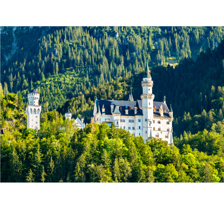 Fototapete städte neuschwanstein schlossansicht - TenStickers