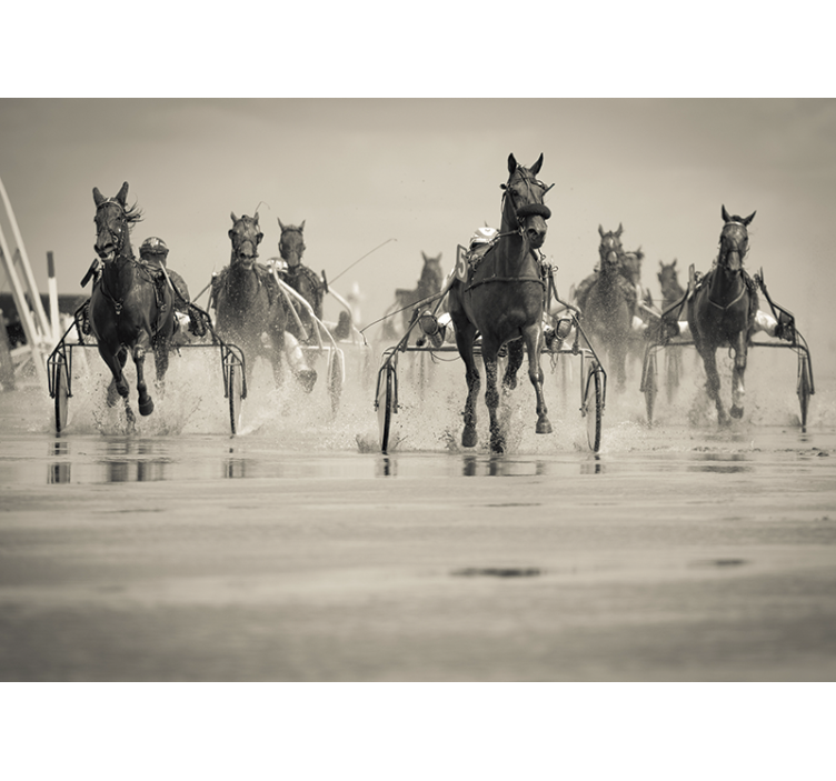 Fototapete Tiere pferde rennen zusammen - TenStickers