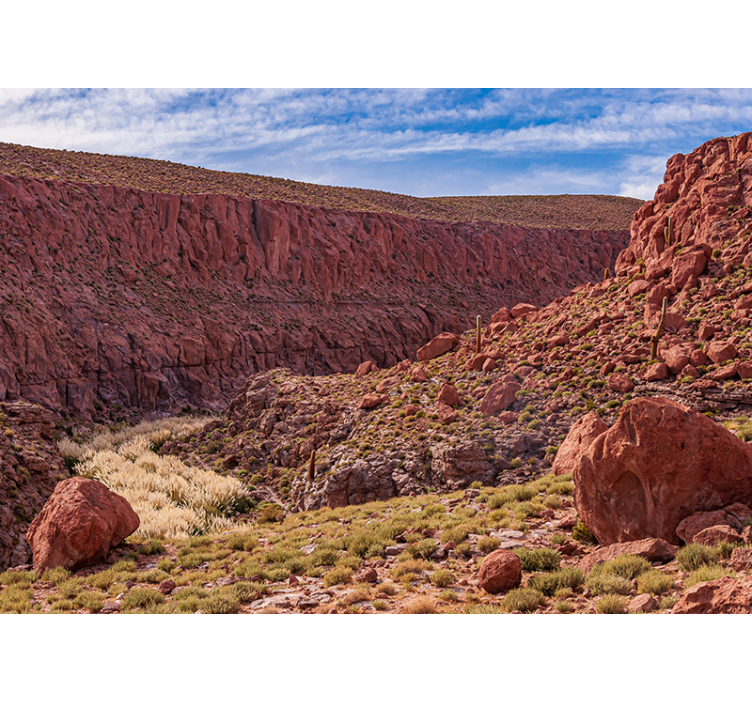 Fototapete Berge rote wüstenlandschaft - TenStickers