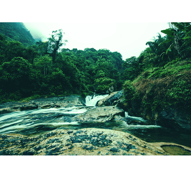 Fototapete Wasserfall ruhige grüne szene - TenStickers
