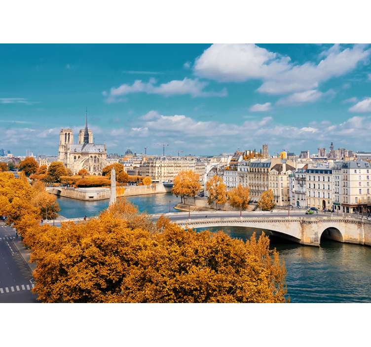 Fototapete paris blick auf die notre dame im herbst - TenStickers