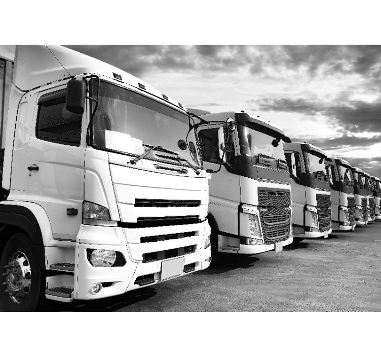 Fototapete fahrzeuge lkw aufstellung - TenStickers