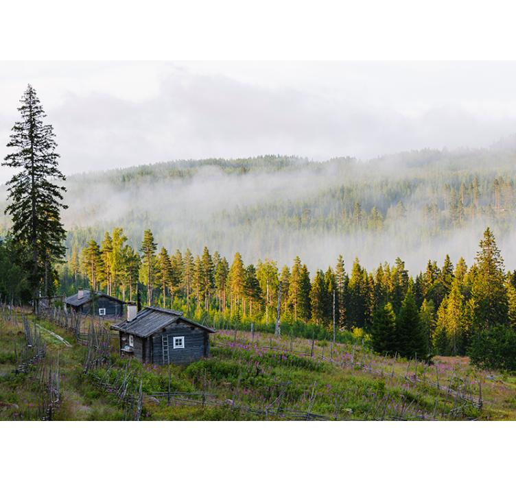 Fototapete Landschaft nebelbedeckter wald - TenStickers