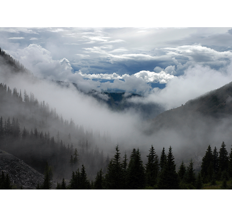 Fototapete Landschaft neblige waldlandschaft - TenStickers