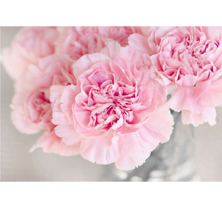 Fototapete blumen mit schönen rosa blüten - TenStickers