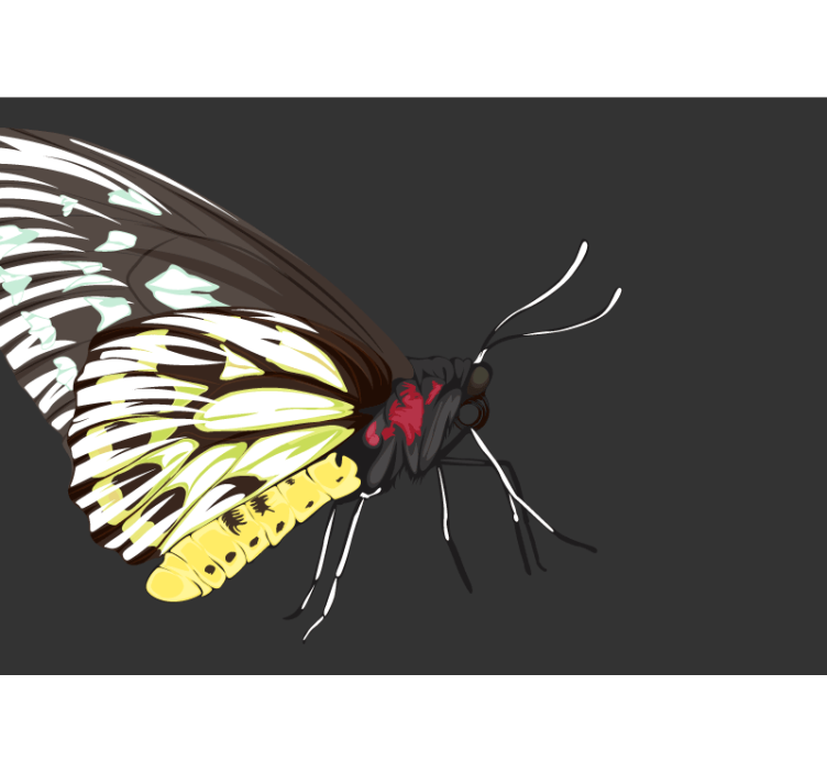 Fototapete Blumen gelbes schmetterlingsdesign - TenStickers