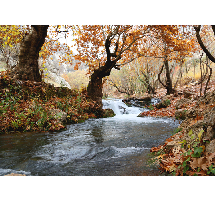 Fototapete Natur Fluss herbstlandschaft - TenStickers