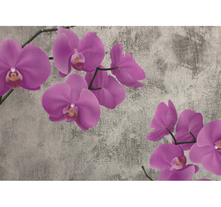 Fototapete blumen rosen orchideenblüten - TenStickers