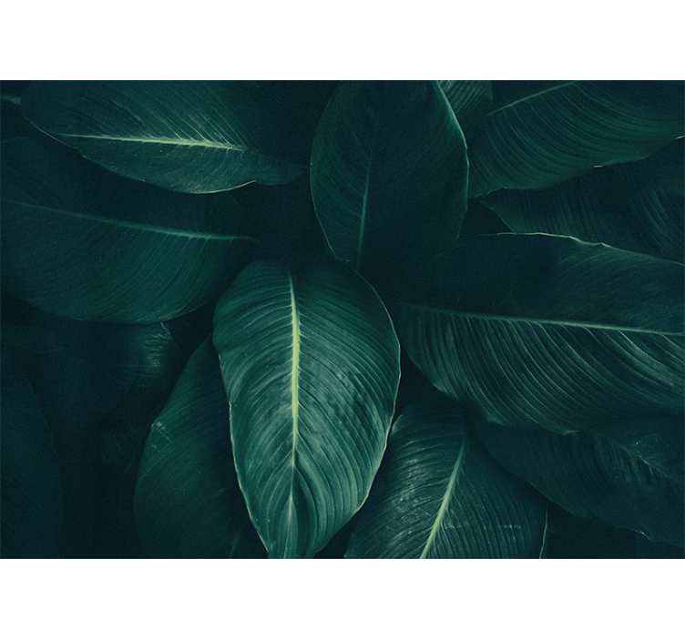Fototapete natur mit üppiger blattstruktur - TenStickers