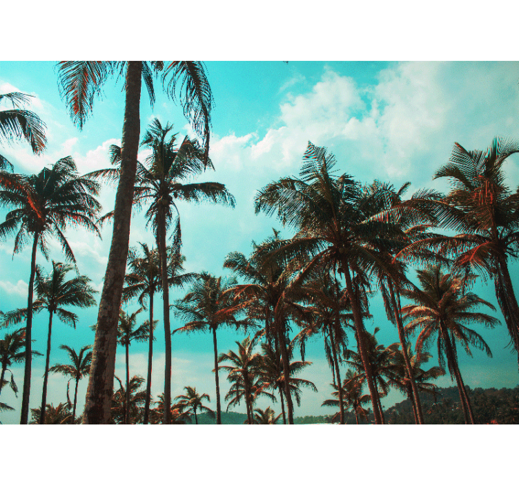 Fototapete Wohnzimmer Schöne palmen ruhige landschaft - TenStickers