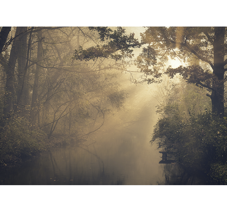 Fototapete Wald Hohe grüne bäume mit sonneneruption - TenStickers