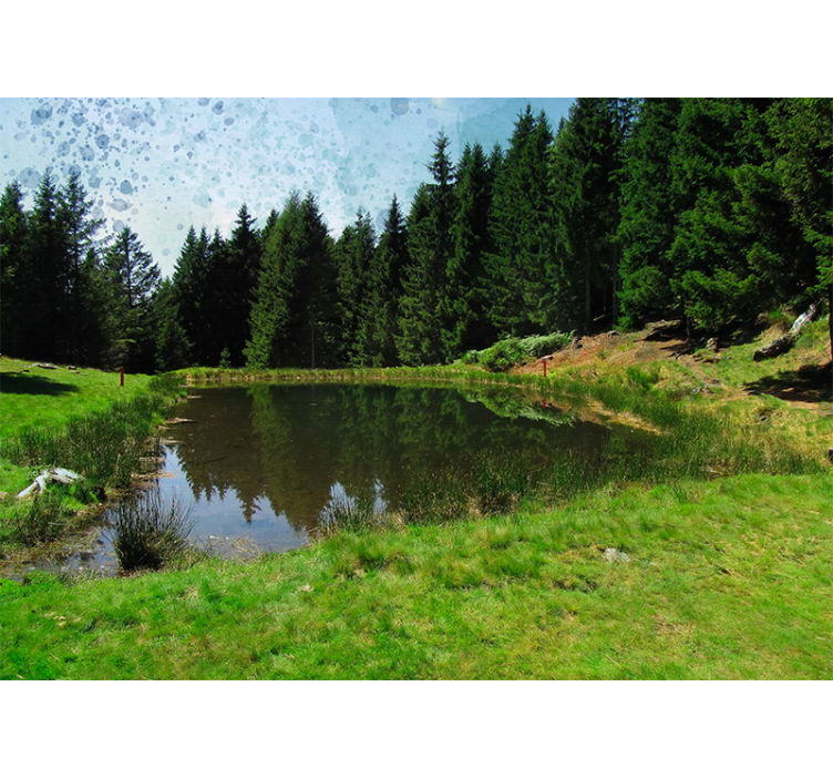 Fototapete landschaft ruhiger waldblick - TenStickers