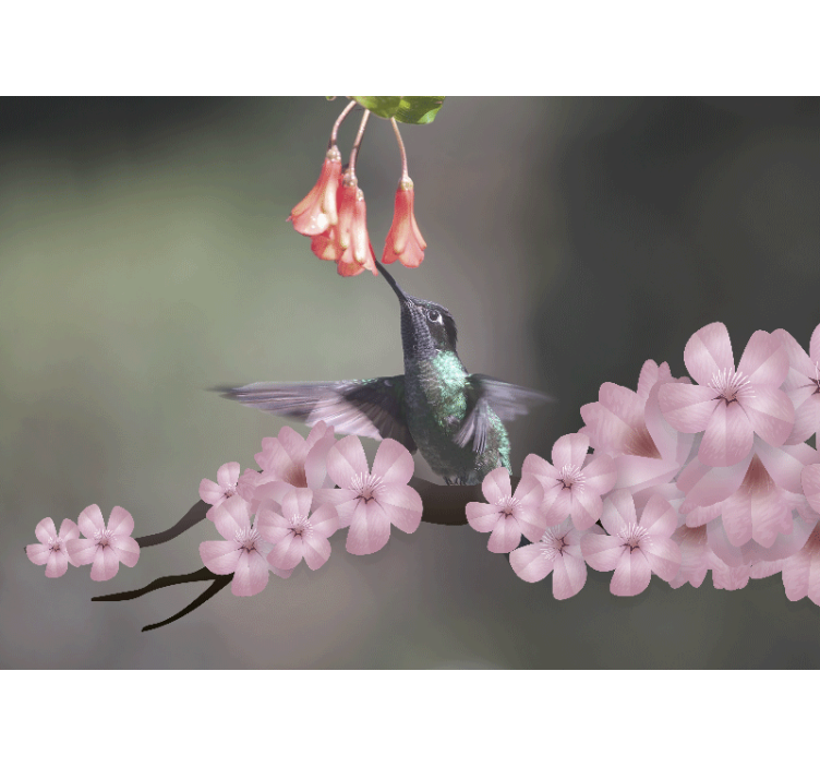 Fototapete tiere kolibri und blumen - TenStickers