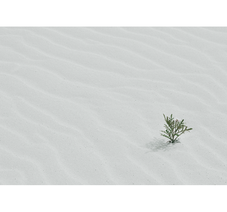Fototapete natur sand und grünpflanzen - TenStickers